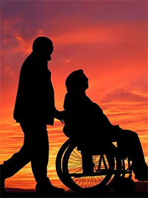 重回八三，我把渣男送进大牢后他悔疯了陈建军苏秋晚完整版在线阅读_陈建军苏秋晚完整版阅读